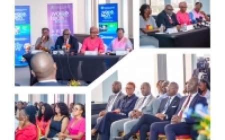 Côte dIvoire: le ministère de la Transition numérique et de la Digitalisation  mobilise les acteurs du numérique  pour Ivoire Tech Forum