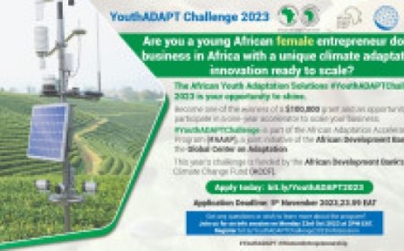 Appel à candidatures/Concours YouthADAPT 2023 : donner aux femmes africaines  les moyens de lutter contre le changement climatique