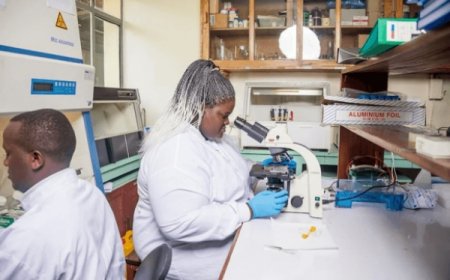 Le paludisme est un problème africain et l'Afrique doit trouver la solution