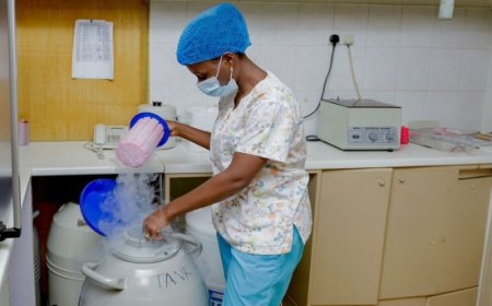 Fertilité : l’industrie africaine des donneurs de sperme « manque de garanties vitales »