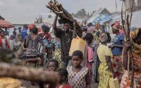 RDC : les enjeux économiques des violents combats opposant les forces congolaises aux combattants du groupe armé M23 à Goma