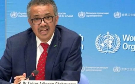 Proche Orient: le chef de l’OMS échappe à un bombardement de l’armée Israélienne à l’aéroport de Sanaa