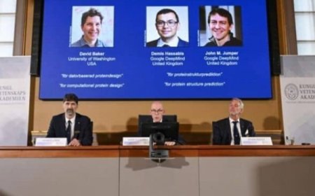 Suède/Prix Nobel de chimie 2024 : deux Américains et un Britannique distingués