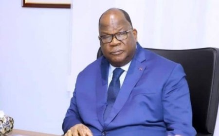 Paris/Environnement : Laurent Tchagba représente le Premier ministre à la conférence internationale sur la préservation des forêts