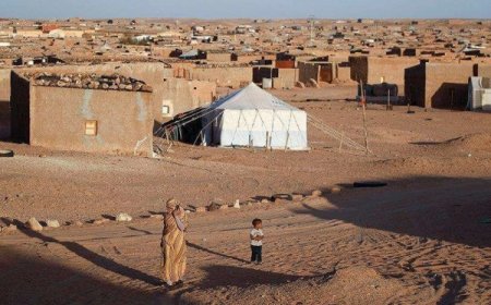 Une jeune fille sahraouie adoptée par une famille espagnole enlevée par le Polisario