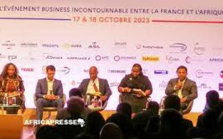 Ambition Africa 2023 : la Guinée renforce le partenariat avec la France