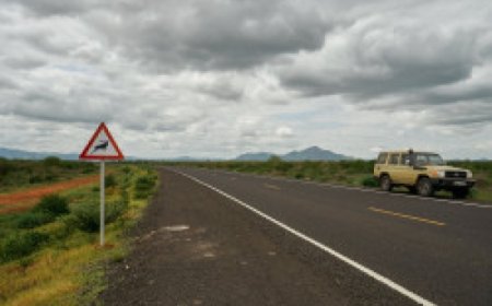 Cameroun : la BAD accorde un prêt de 203 millions d’euros pour l’aménagement territorial