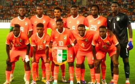 Côte d'Ivoire/Éliminatoires CAN 2025: les Eléphants jouent la qualification face à la Sierra-Leone