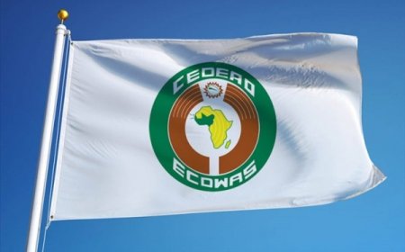 Stabilité sous-régionale: la CEDEAO et l’ONU déploient une mission politique en Guinée-Bissau