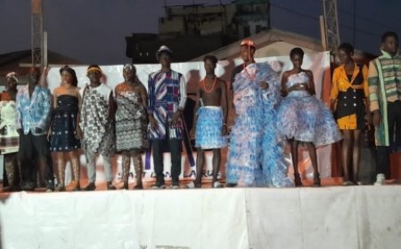 Côte d’Ivoire/Festival  art dans le rue de Treichville : la préservation de l'environnement préoccupe les festivaliers