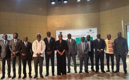Côte d’Ivoire/Promotion culturelle : le Palais de la culture initie un plan d'actions stratégique 2025-2027