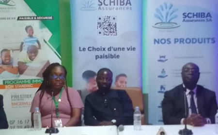 Côte d'Ivoire/12e édition ‘’d’Apothéose’’ : Nestor David promet  un grand spectacle