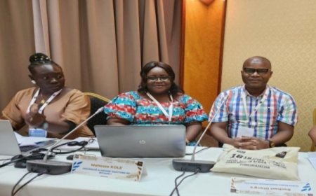 Fake news et représentations sociales en période Covid-19 : une analyse du site "IvoireCheck.com" présentée à Dakar