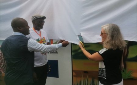 7e édition du Festival Cocobulles : Francesca Di Mauro Inaugure une fresque murale à Treichville
