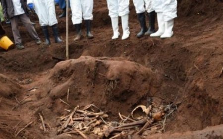 Côte d’’Ivoire/ Des ossements humains découverts dans une forêt sacrée à Sakassou