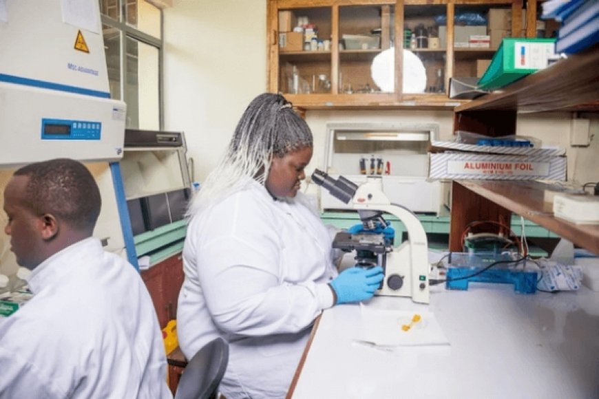 Le paludisme est un problème africain et l'Afrique doit trouver la solution