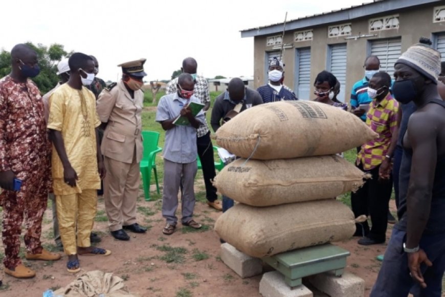 Côte d’Ivoire / Noix de cajou : Campagne 2020: Vente groupée au prix garanti à Niakara